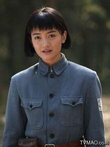 雳剑演员表,重温经典演员阵容，致敬传奇英雄