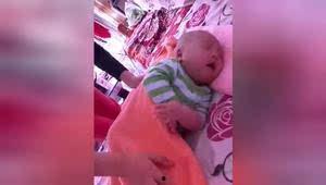 下蛋公鸡搞笑视频